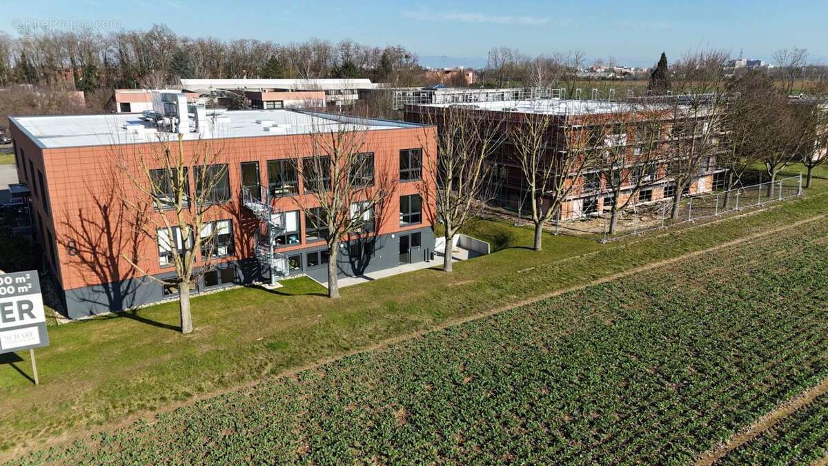 Commerce à OBERHAUSBERGEN