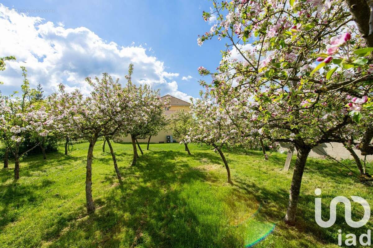Photo 9 - Maison à LA BOURDINIERE-SAINT-LOUP