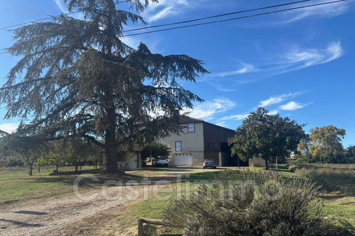 Maison à SAINT-NICOLAS-DE-LA-GRAVE