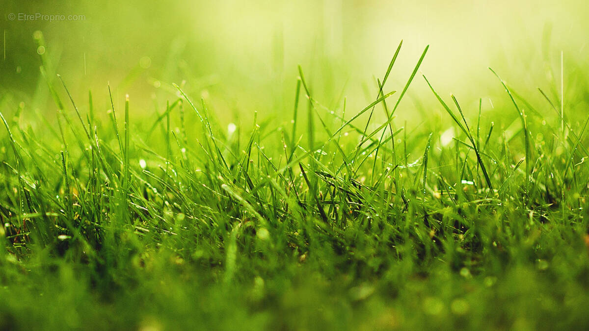 Terrain à PAGNY-SUR-MOSELLE