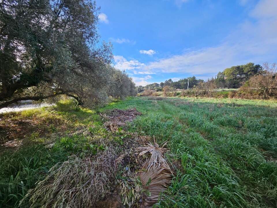 Terrain à ROQUEVAIRE