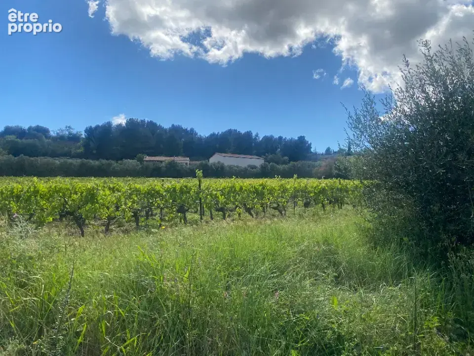 Terrain 425 m² à vendre à Ginestas (11120) - photo 2