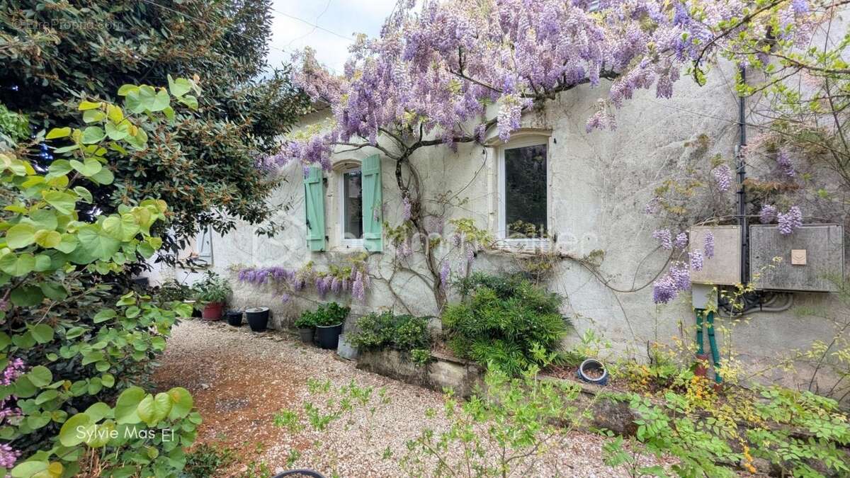 Maison à MONTCUQ