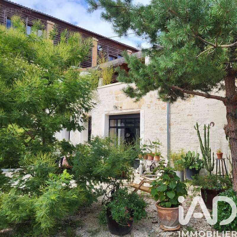Maison 499 m² à Niort  - photo 4