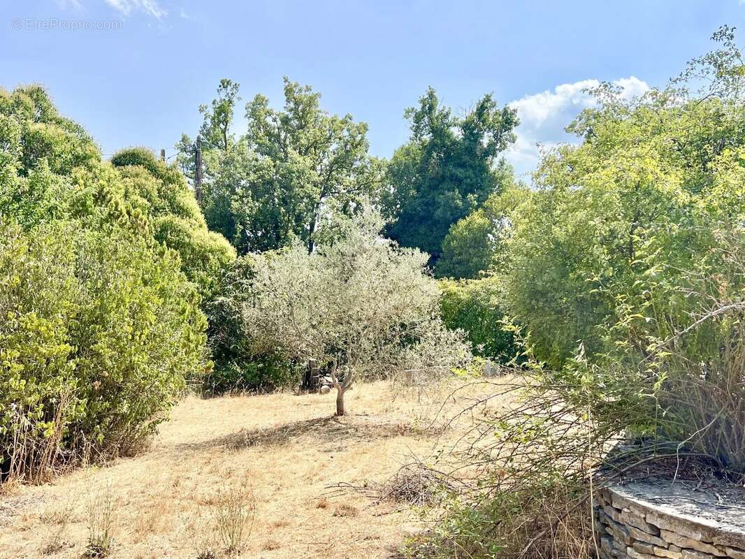 Terrain à bâtir de 964  m² - photo 2