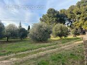 Terrain à SAINT-CHAMAS