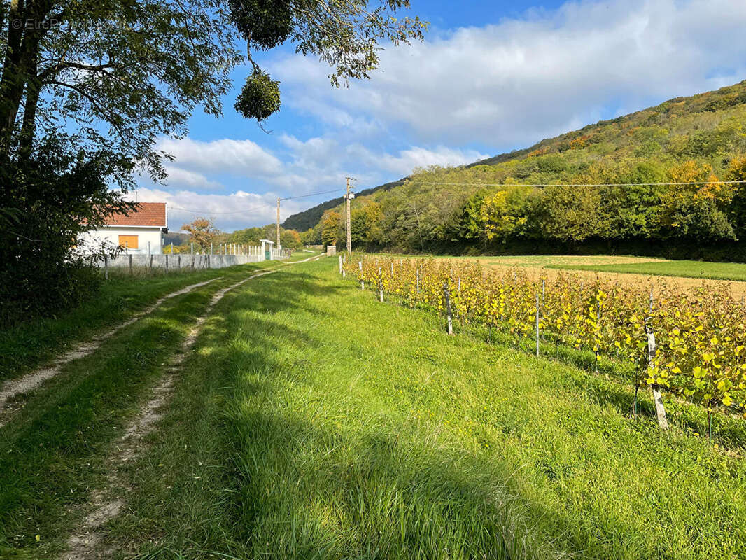 Maison à LONS-LE-SAUNIER