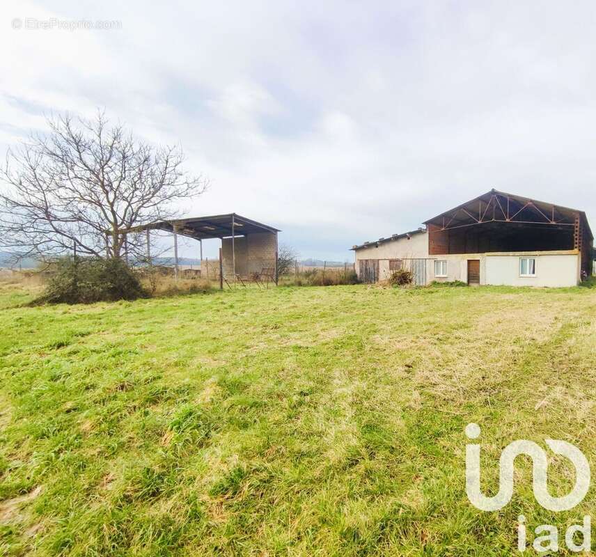 Photo 3 - Terrain à NEGREPELISSE