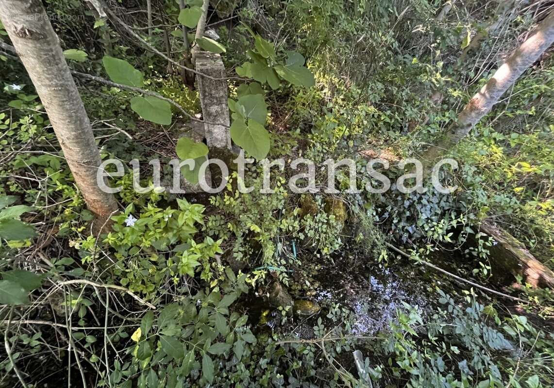 Terrain à SAINT-PARGOIRE