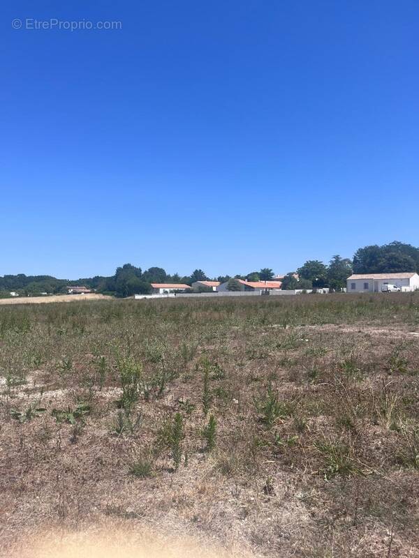 Terrain à CHAILLEVETTE