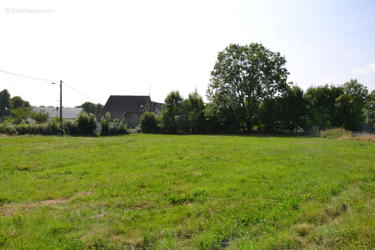 Terrain à MESSEIX