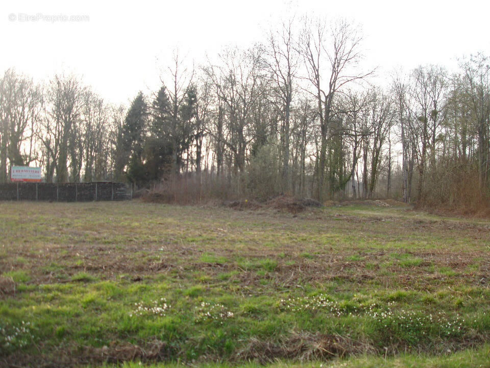 Terrain à SERRIS