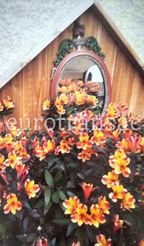 Appartement à FLORENSAC