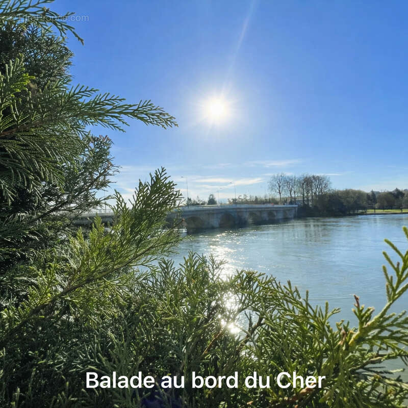 Appartement à TOURS