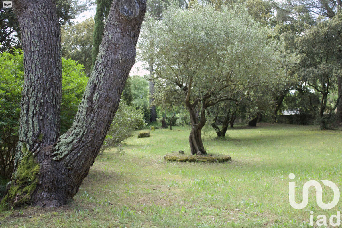 Photo 5 - Maison à UZES