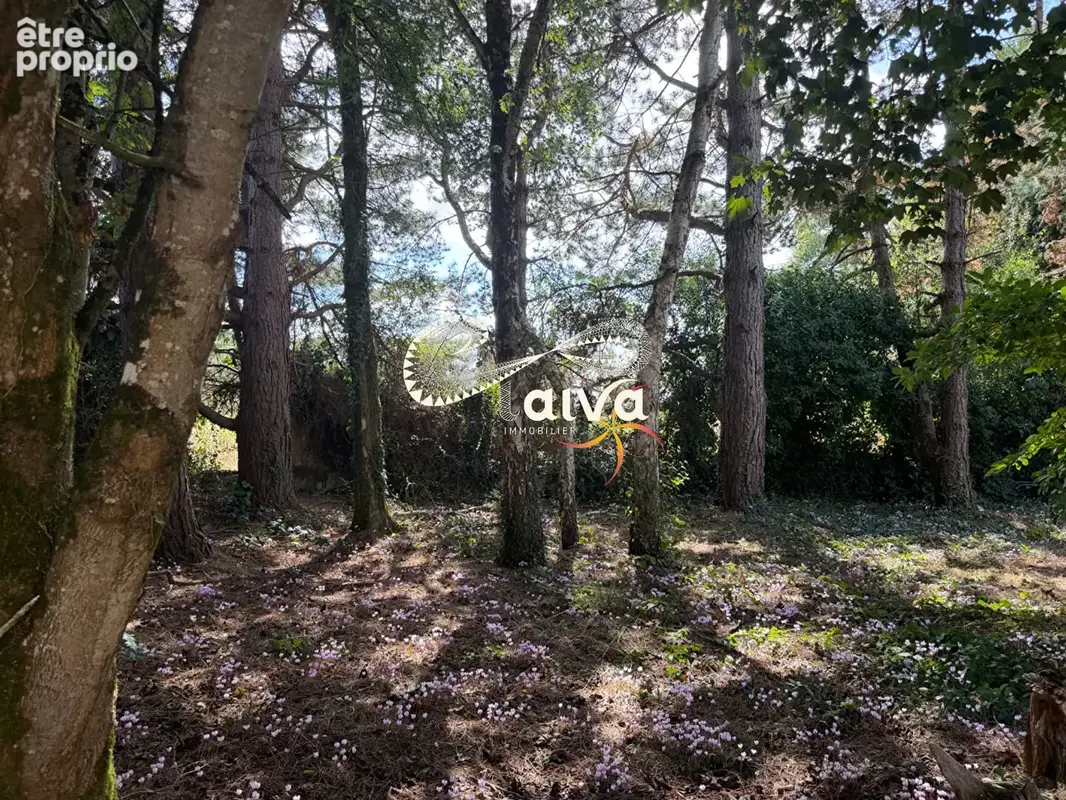 Propriété d'exception à vendre - Taiva Immobilier - photo 16