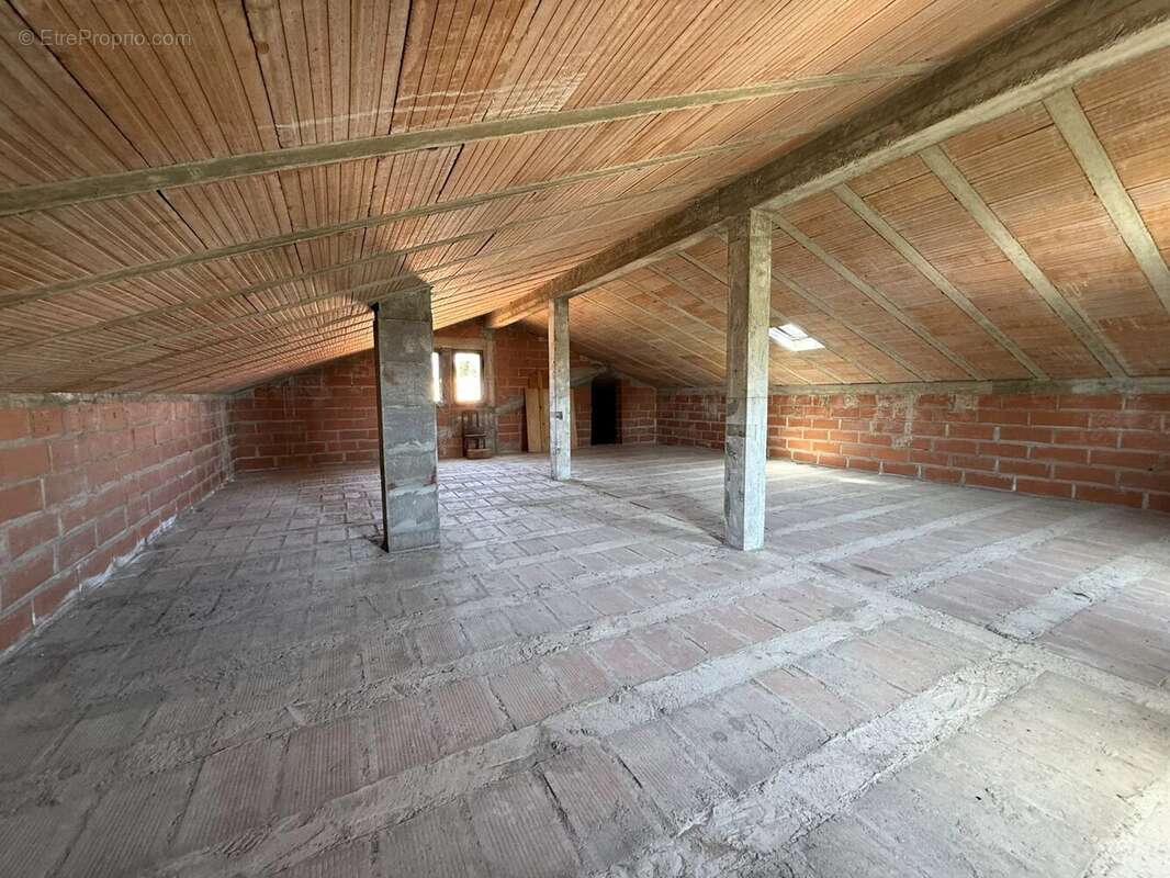 Maison à CAVES