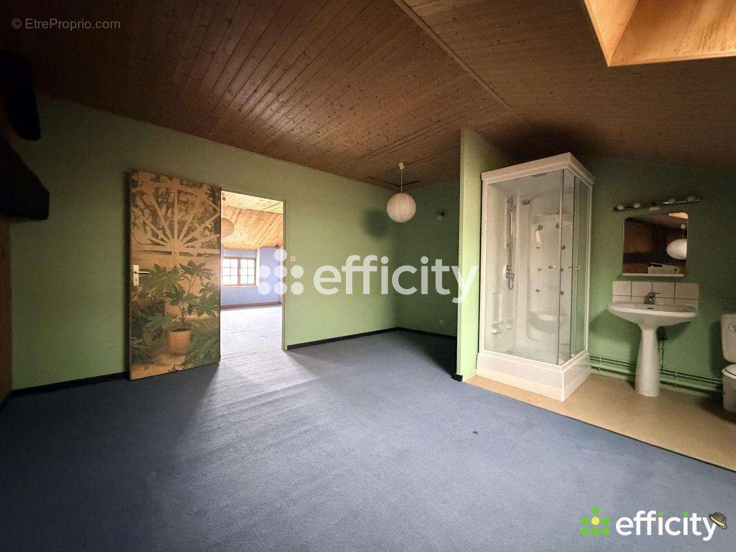 Duplex/Triplex - photo 15