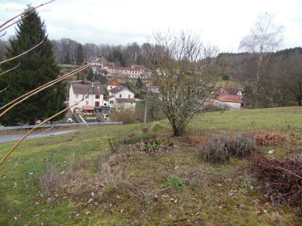 Terrain à SENONES