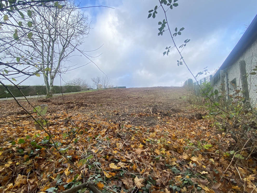 Terrain à SAINT-GERMAIN-DES-PRES