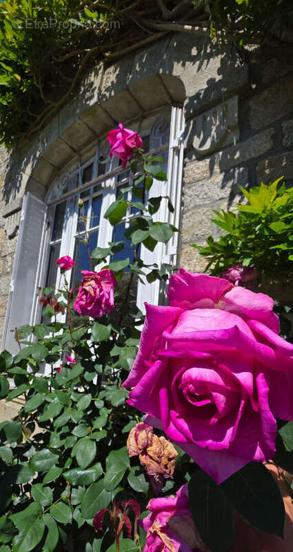 la maison de charme ! - photo 3