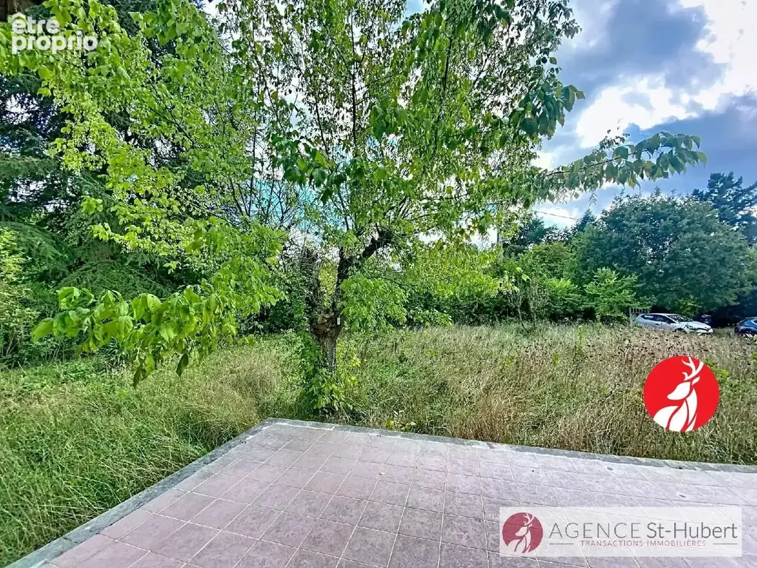 Maison 5 pièces 134 m² à vendre à Barbizon (77630) - photo 3
