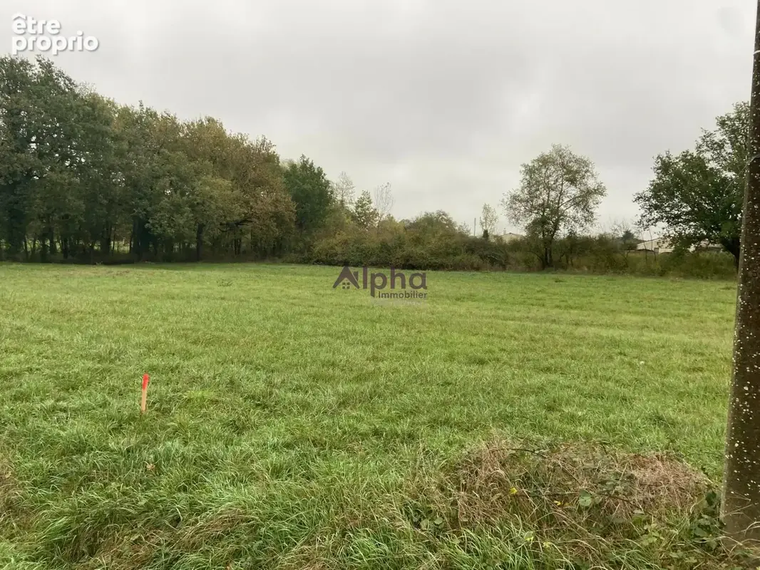 Terrain 2390 m² à Saint-Etienne-De-Tulmont  - photo 4