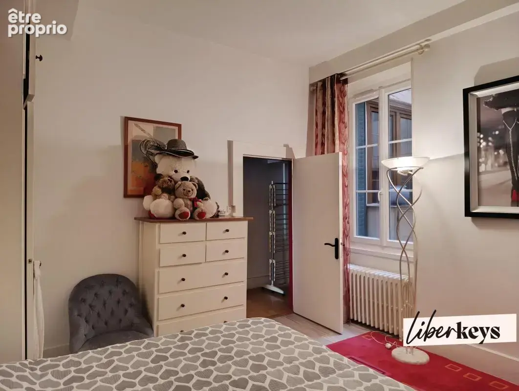 2 appartements standing mono propriété - 229,50 m² - comble aménageable - balcons - garage double- caves - vue quai de saône - photo 22