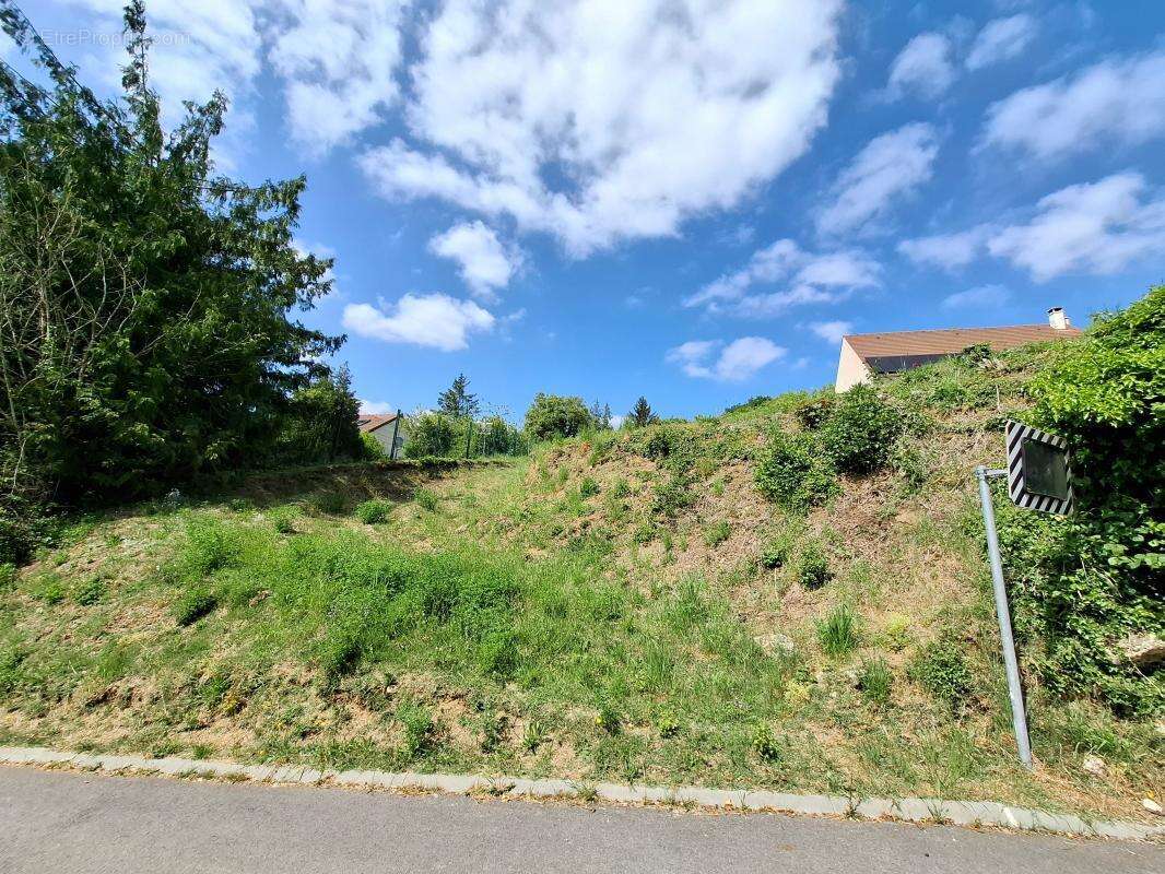 Terrain a vendre 1423 m², montigny-lengrain 02290 - photo 2