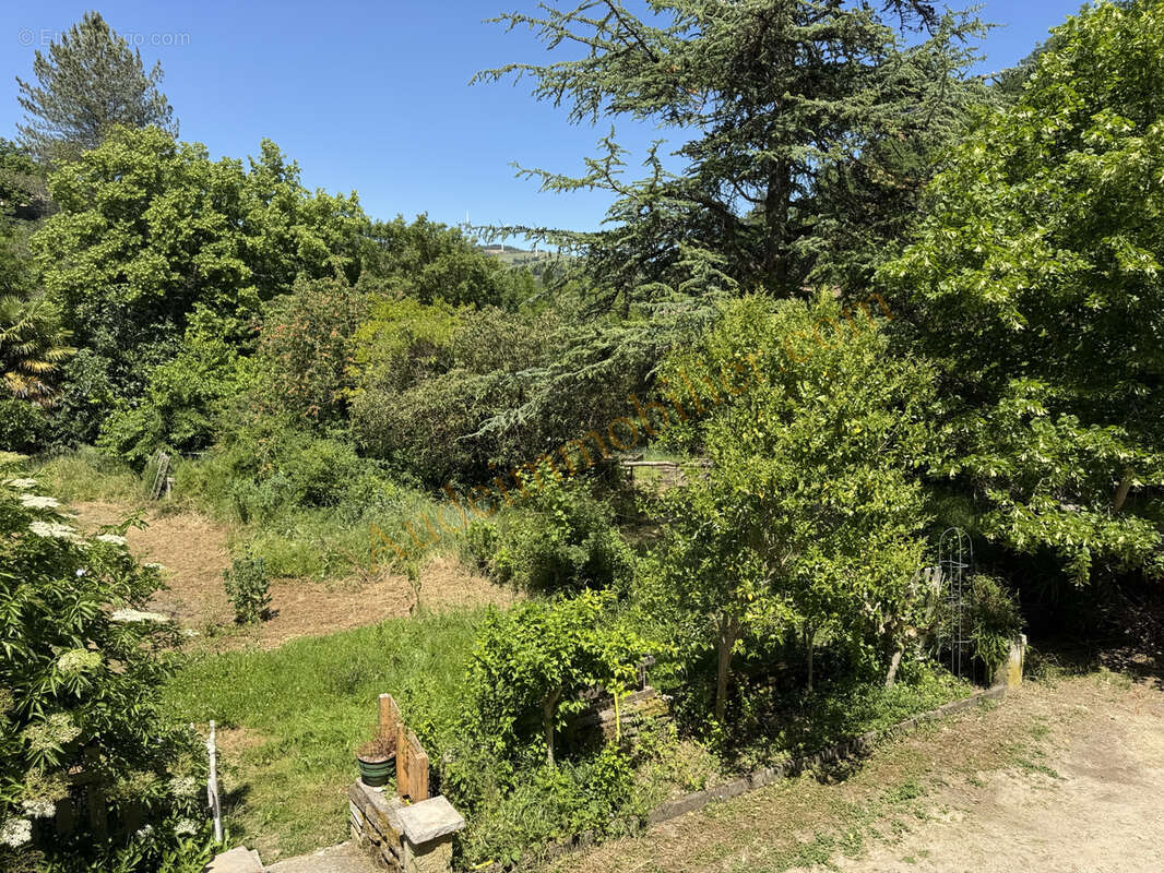 Maison avec jardin de 3500m2 environ - photo 18