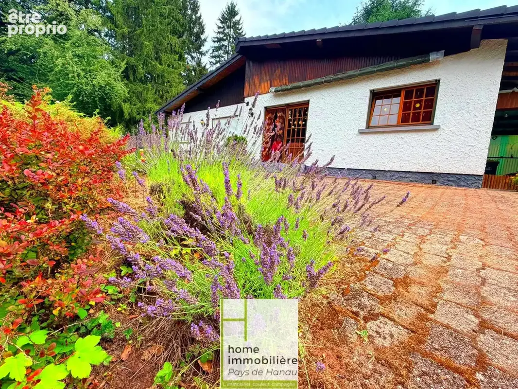 Tres jolie plain pied bi famille sur 2400m2 - photo 3