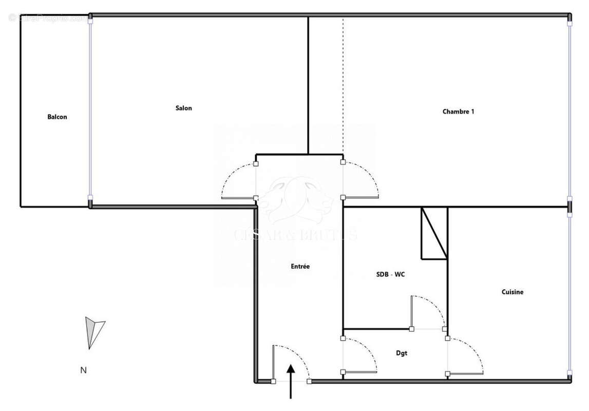 Appartement à CALUIRE-ET-CUIRE