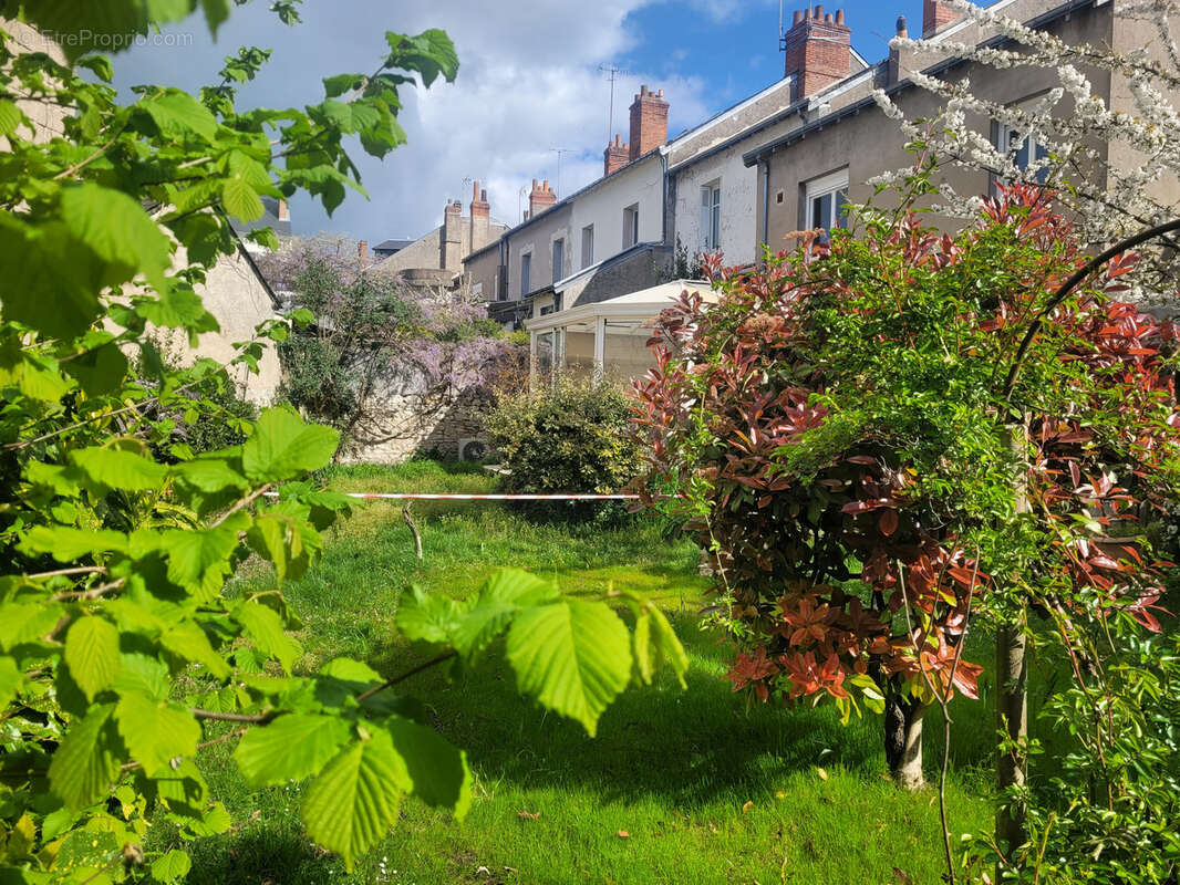 Maison à TOURS