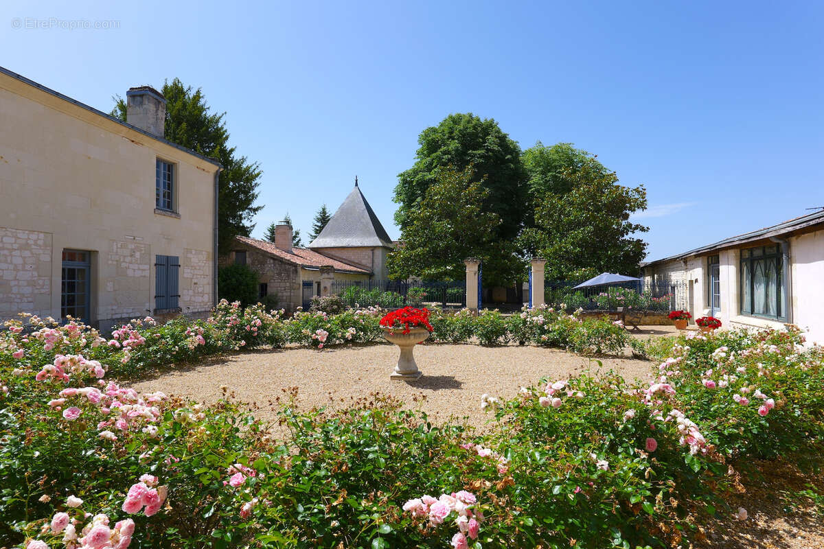 Maison à FONTEVRAUD-L'ABBAYE