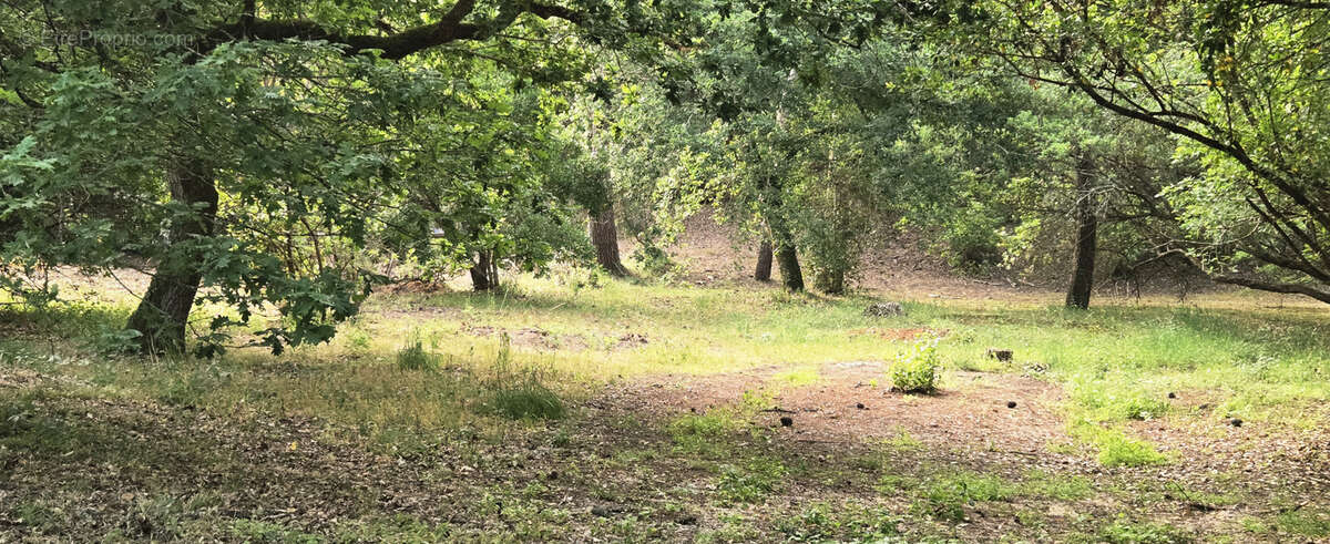 Terrain à ARCACHON