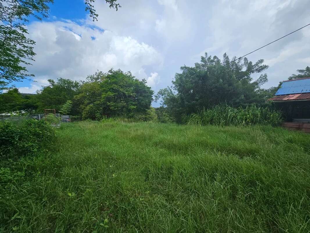 Terrain à LES TROIS-ILETS