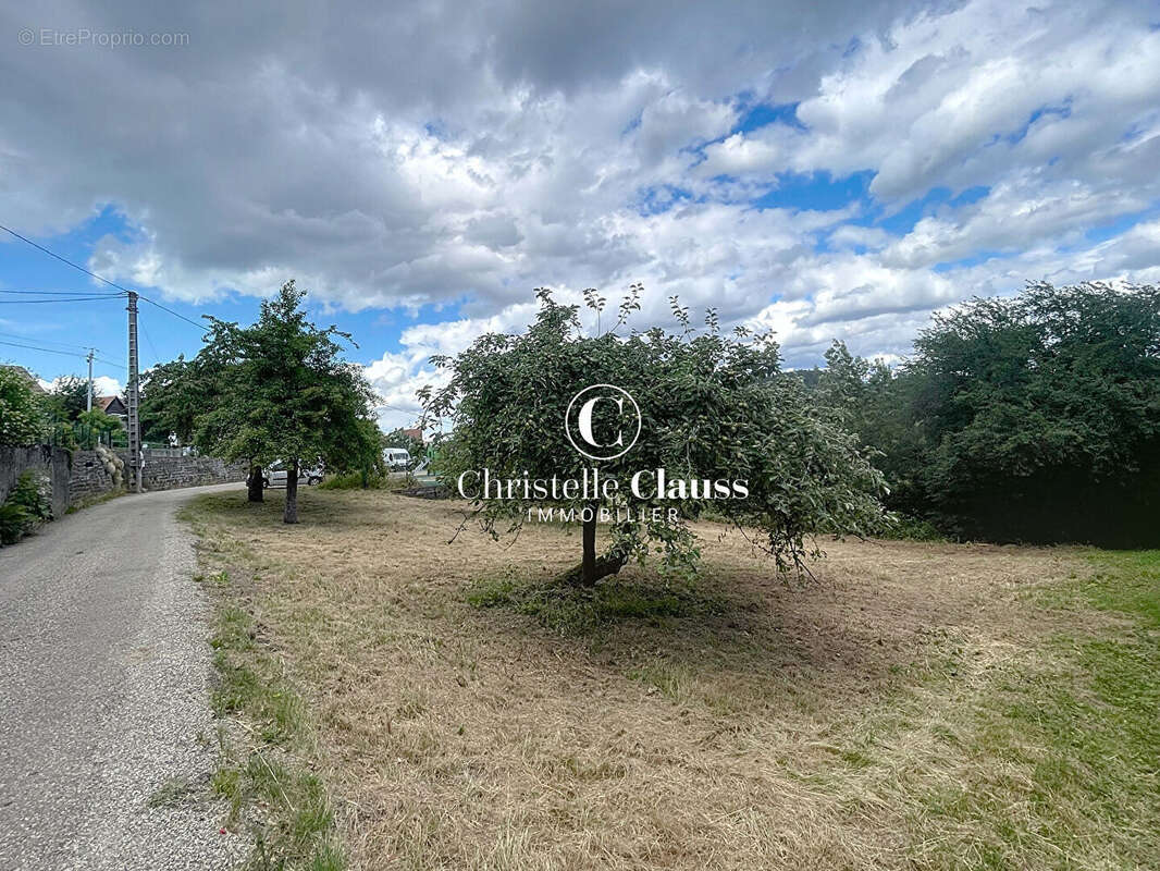 Terrain à GRENDELBRUCH