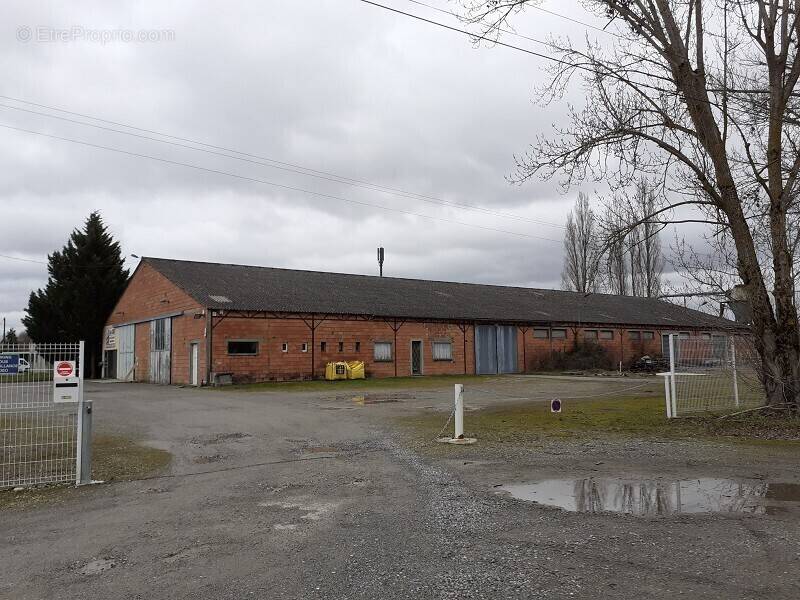 Commerce à SAINT-SULPICE-SUR-LEZE