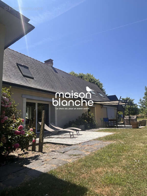 Maison à PELLOUAILLES-LES-VIGNES