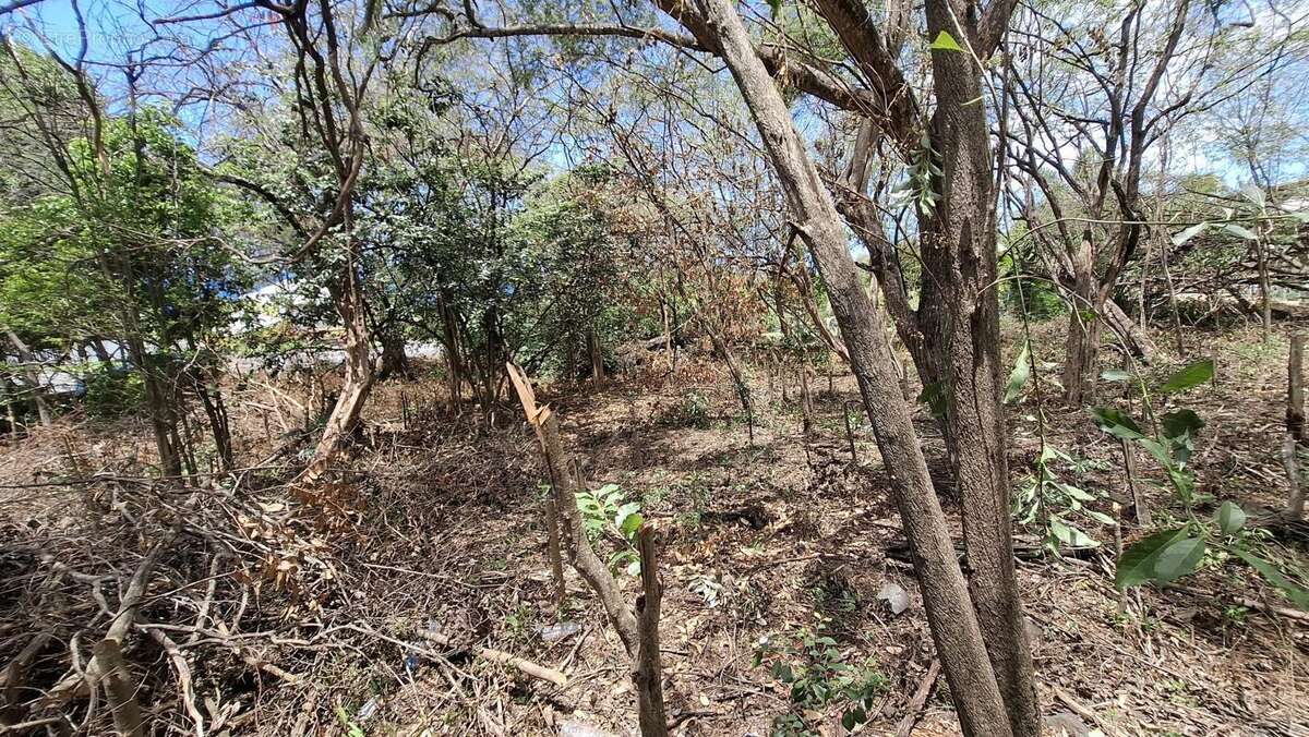 Terrain à BOUILLANTE