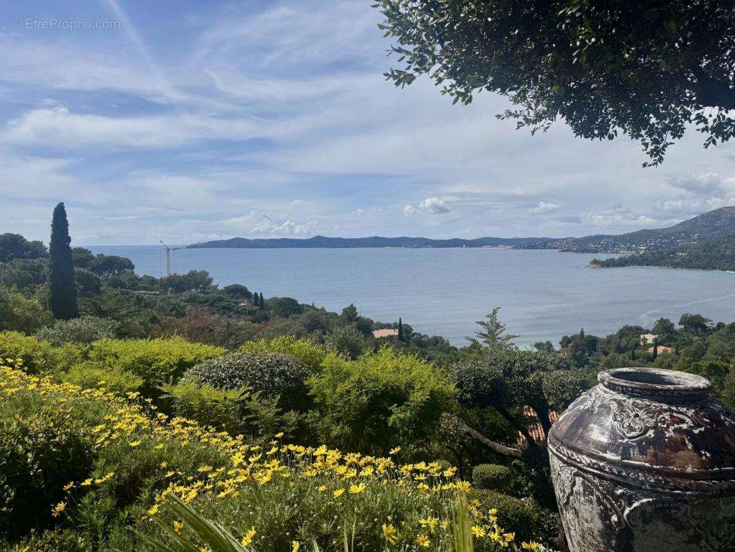 Maison à LE LAVANDOU