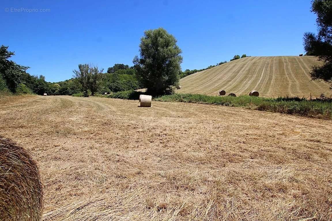 Maison à LEZAT-SUR-LEZE