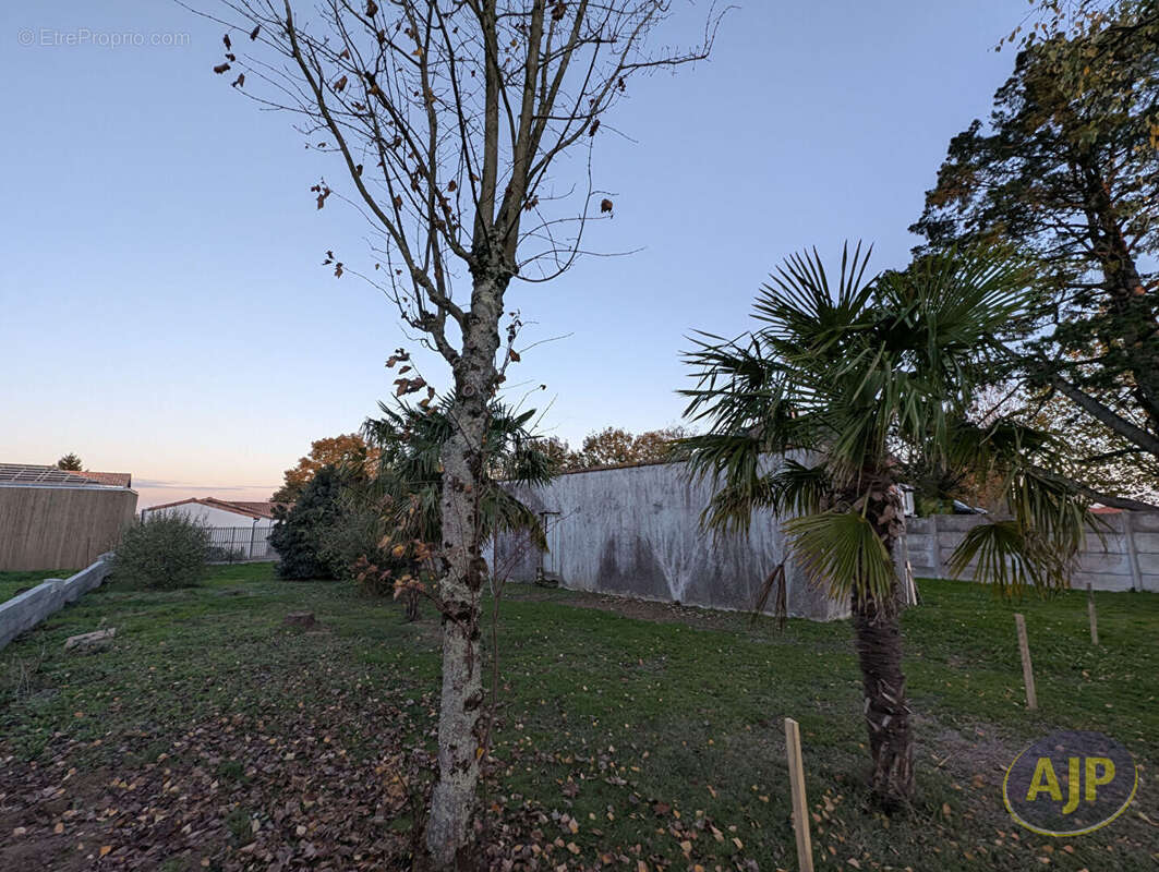 Terrain à VIEILLEVIGNE