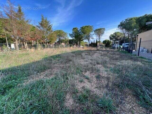Terrain à MARSEILLAN