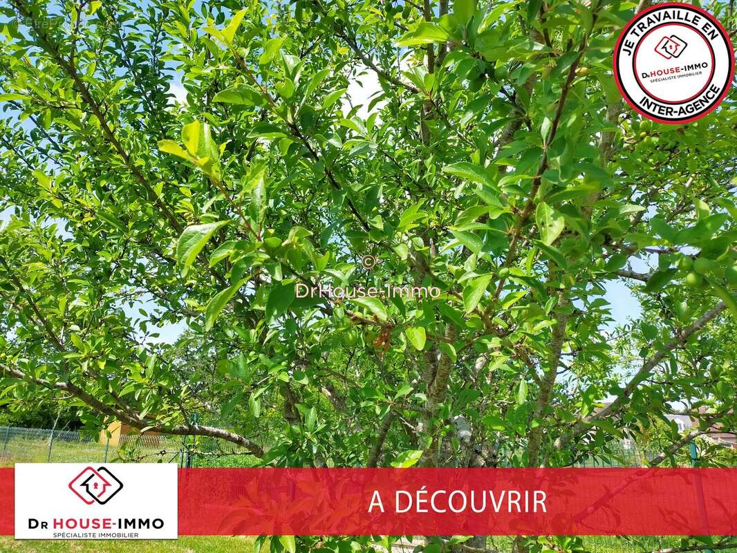 Terrain à LA ROCHE-POSAY