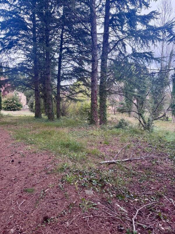 Terrain à PELISSANNE