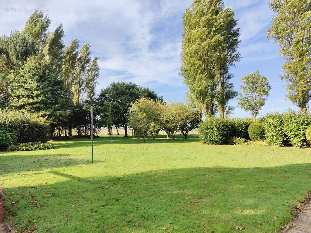 Jardin - Maison à BIVILLE-SUR-MER