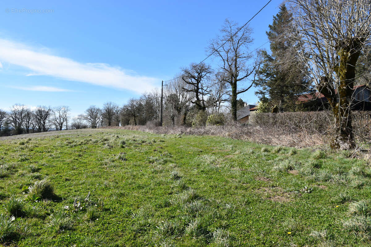 Terrain à LE VIBAL