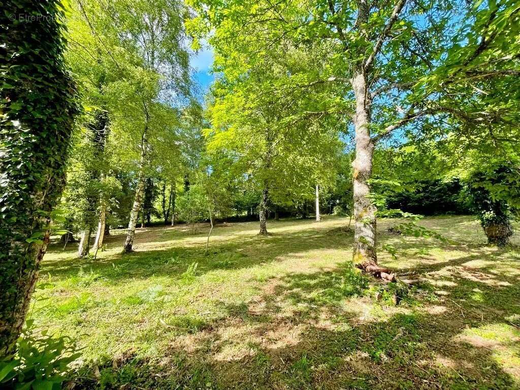 Maison à SAINT-BRISSON