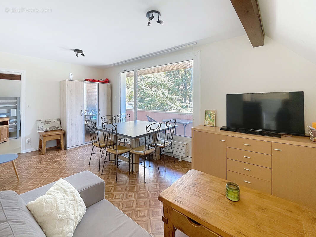 Appartement à SEYTHENEX